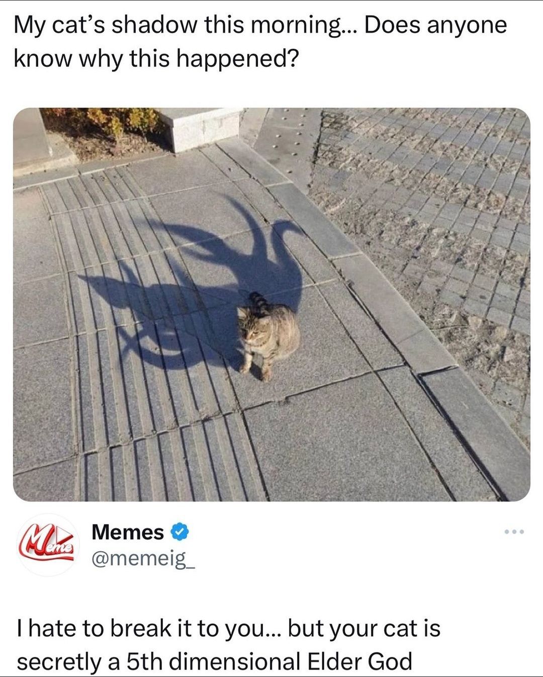 My cat's shadow this morning... Does anyone
know why this happened?
Memes →
@memeig
I hate to break it to you... but your cat is
secretly a 5th dimensional Elder God
600