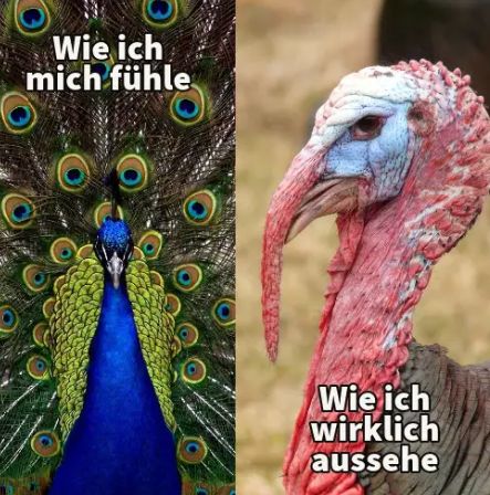 Wie ich
mich fühle
Wie ich
wirklich
aussehe