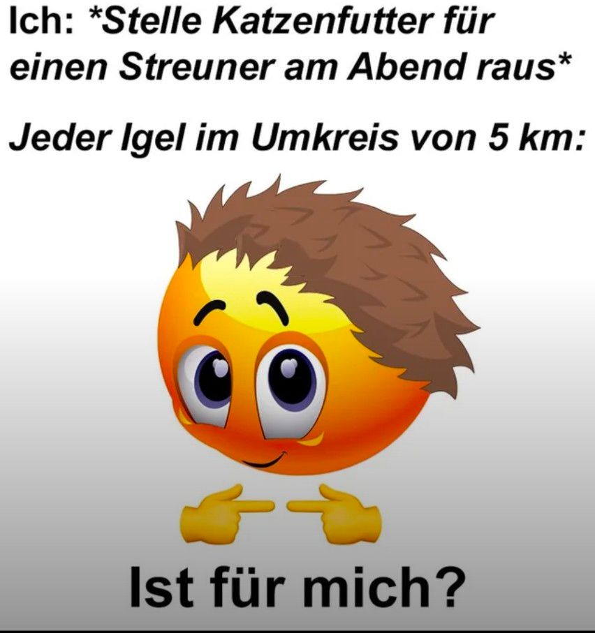 Ich: *Stelle Katzenfutter für
einen Streuner am Abend raus*
Jeder Igel im Umkreis von 5 km:
Ist für mich?