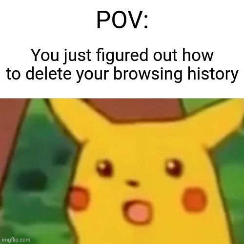 POV:
You just figured out how
to delete your browsing history
