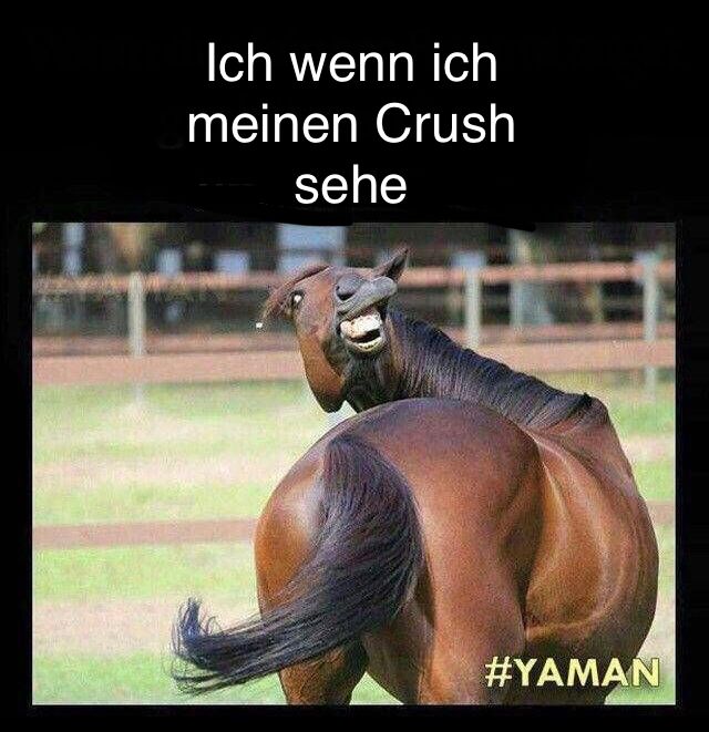 Ein braunes Pferd mit einem etwas übertriebenen Grinsen schaut zur Seite. Der Text auf dem Bild lautet: "Ich, wenn ich meinen Crush sehe." Unten rechts steht #YAMAN.