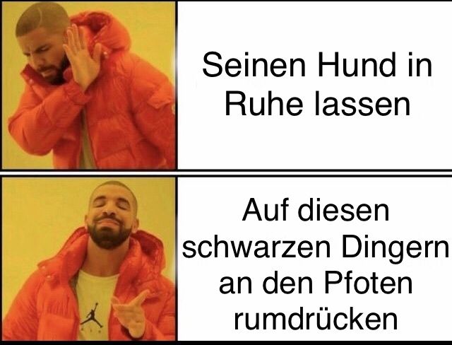 Oben ist Drake mit abgewandter Hand, daneben steht "Seinen Hund in Ruhe lassen". Unten ist Drake mit zustimmender Geste, daneben steht "Auf diesen schwarzen Dingern an den Pfoten rumdrücken".