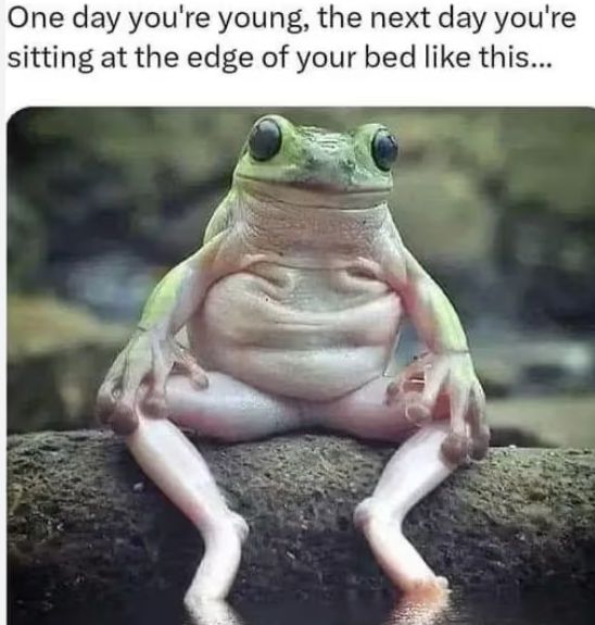 Ein Frosch sitzt mit gebeugten Knien und entspannter Körperhaltung auf einem Stein, die Arme ruhen locker auf den Beinen. Über dem Bild steht der Text: "One day you're young, the next day you're sitting at the edge of your bed like this..."