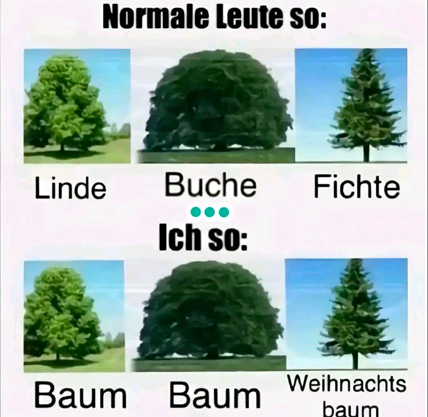 Normale Leute so:
Linde
Buche
Fichte
Ich so:
Weihnachts
Baum Baum
baum