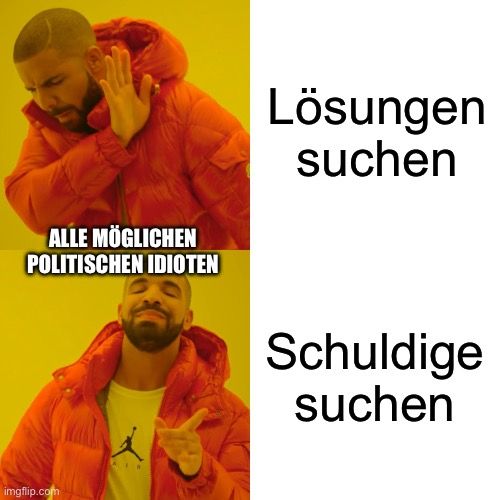 ALLE MÖGLICHEN
POLITISCHEN IDIOTEN

Lösungen
suchen
Schuldige
suchen