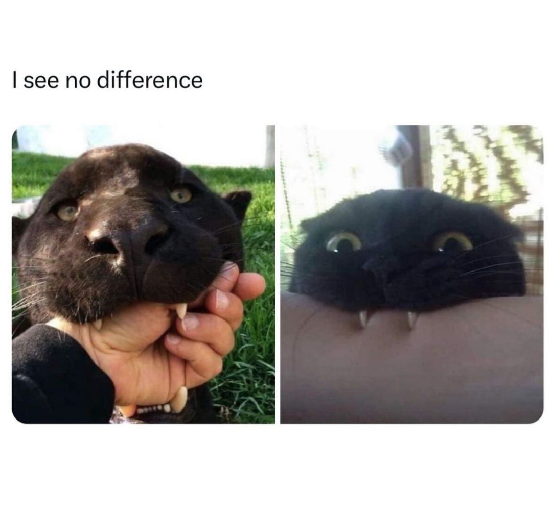 I see no difference