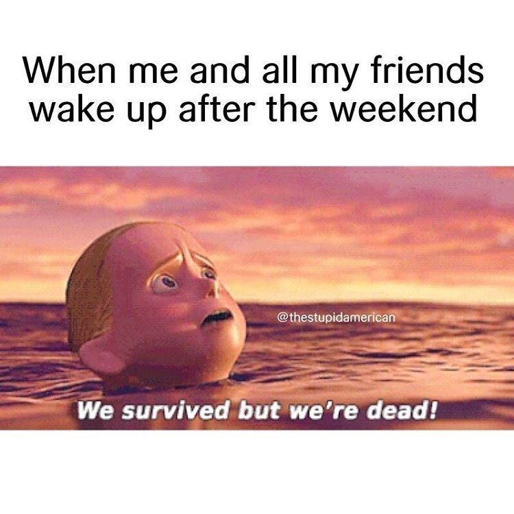 When me and all my friends.
wake up after the weekend
@thestupidamerican
We survived but we're dead!