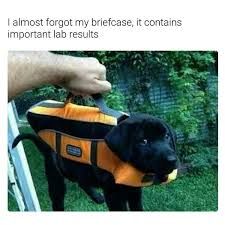 I almost forgot my briefcase, it contains
important lab results