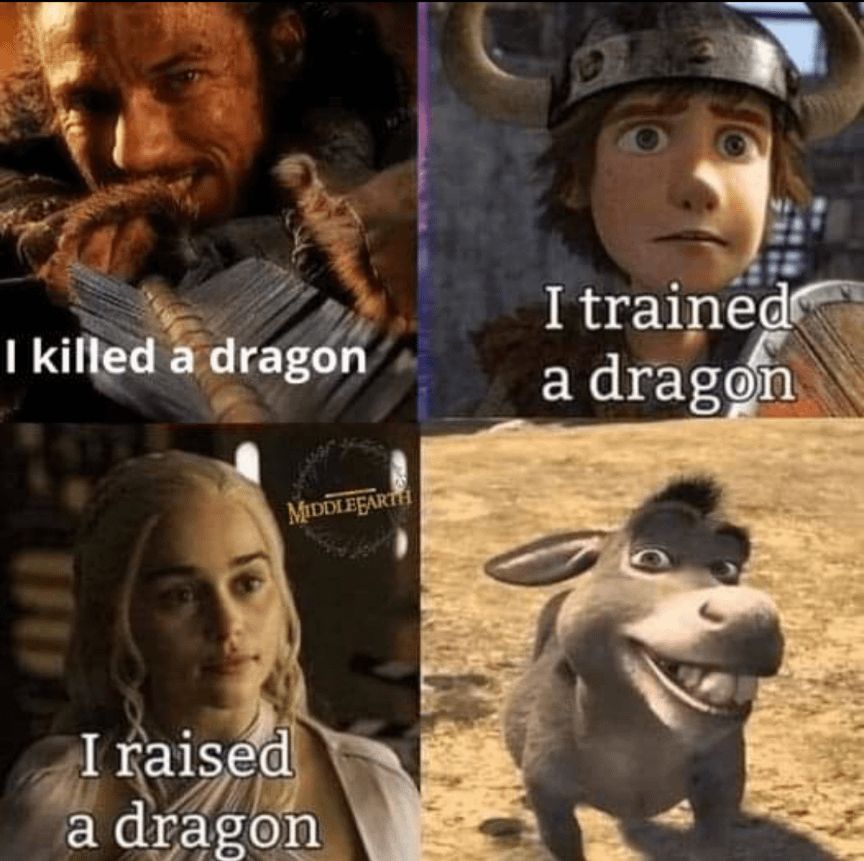 I killed a dragon
MIDDLEEARTH
I trained
a dragon
I raised
a dragon