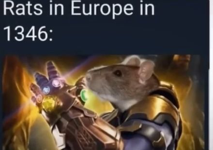 Rats in Europe in
1346: