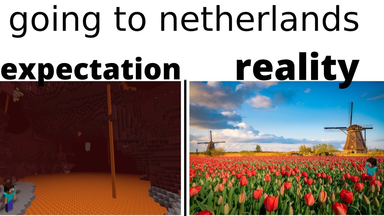 going to netherlands
expectation
reality