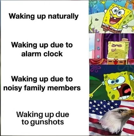 Waking up naturally
Waking up due to
alarm clock
Waking up due to
noisy family members
Waking up due
to gunshots