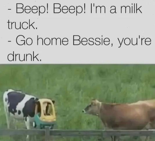 - Beep! Beep! I'm a milk
truck.
- Go home Bessie, you're
drunk.