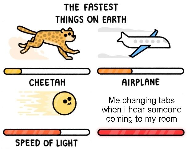 THE FASTEST
THINGS ON EARTH
CHEETAH
AIRPLANE
Me changing tabs
when i hear someone
coming to my room
SPEED OF LIGHT