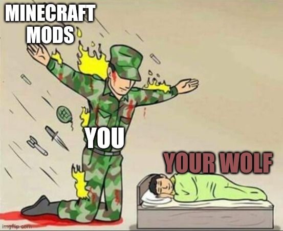 MINECRAFT
MODS

YOU
YOUR WOLF