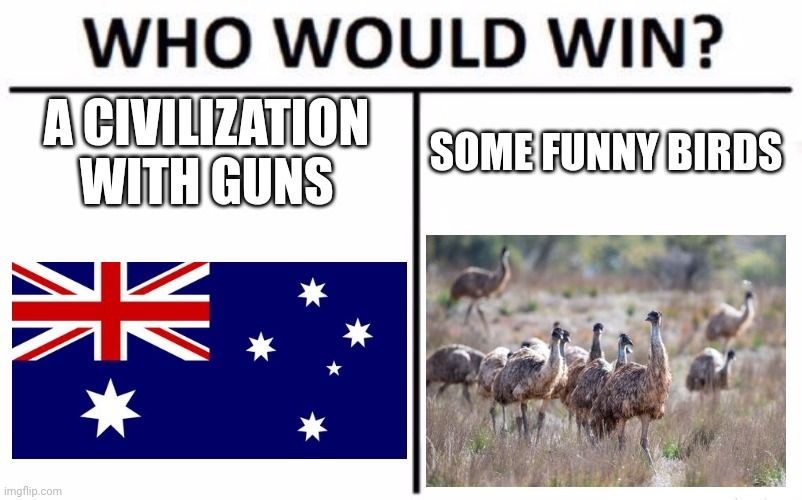 WHO WOULD WIN?
A CIVILIZATION
WITH GUNS
SOME FUNNY BIRDS
NV
