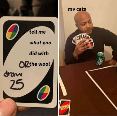 tell me
what you
did with
OR the wool
draw
25
UNO
my cats