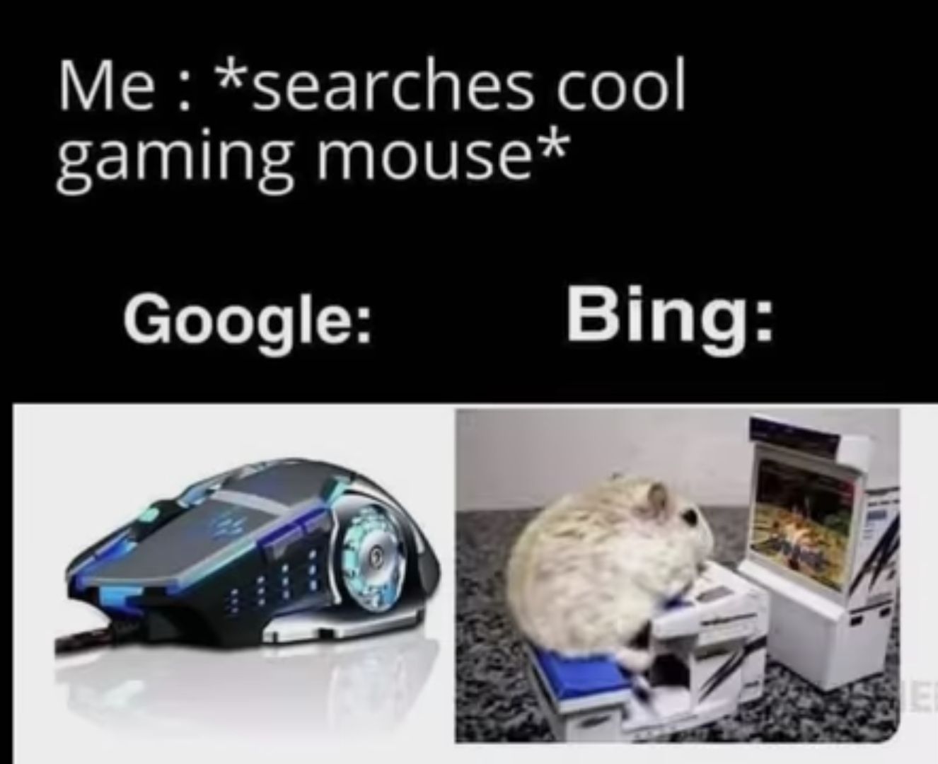 Me: *searches cool
gaming mouse*
Google:
Bing:
E