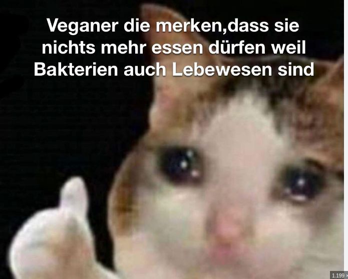 Veganer die merken, dass sie
nichts mehr essen dürfen weil
Bakterien auch Lebewesen sind
1.199x