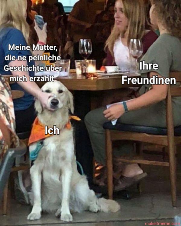 Meine Mutter,
die ne peinliche
Geschichte über
mich erzählt
Ihre
Freundinen
Ich
makeitmeme.com