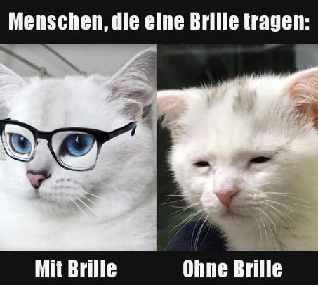 Menschen, die eine Brille tragen:
Mit Brille
Ohne Brille