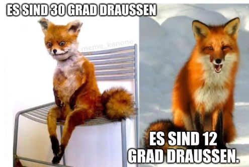 ES SIND 30 GRAD DRAUSSEN
meme kanone
ES SIND 12
GRAD DRAUSSEN.