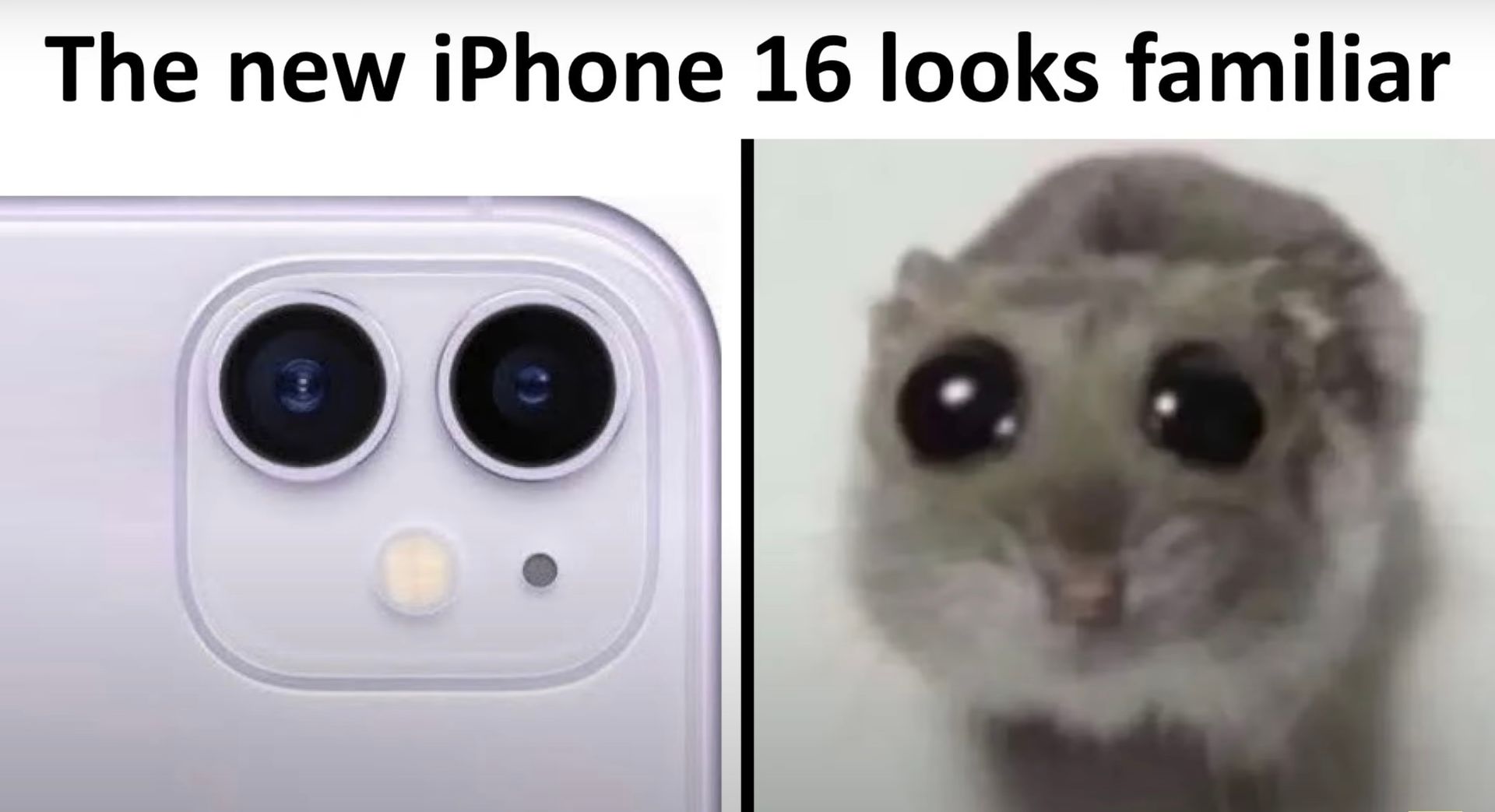 The new iPhone 16 looks familiar