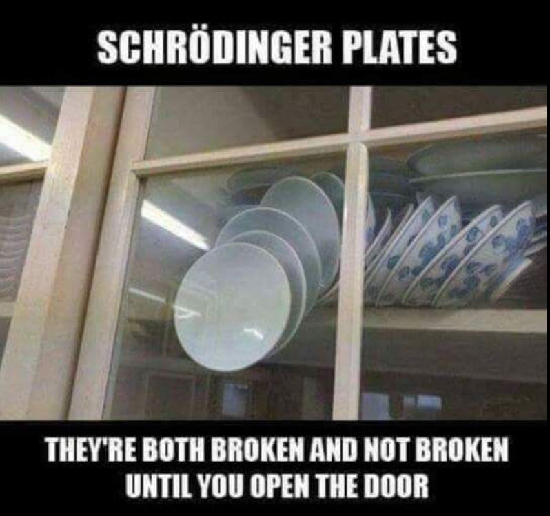 SCHRÖDINGER PLATES
11
THEY'RE BOTH BROKEN AND NOT BROKEN
UNTIL YOU OPEN THE DOOR