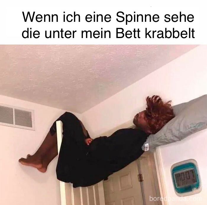 Wenn ich eine Spinne sehe
die unter mein Bett krabbelt
2001
216
boredpanda.com