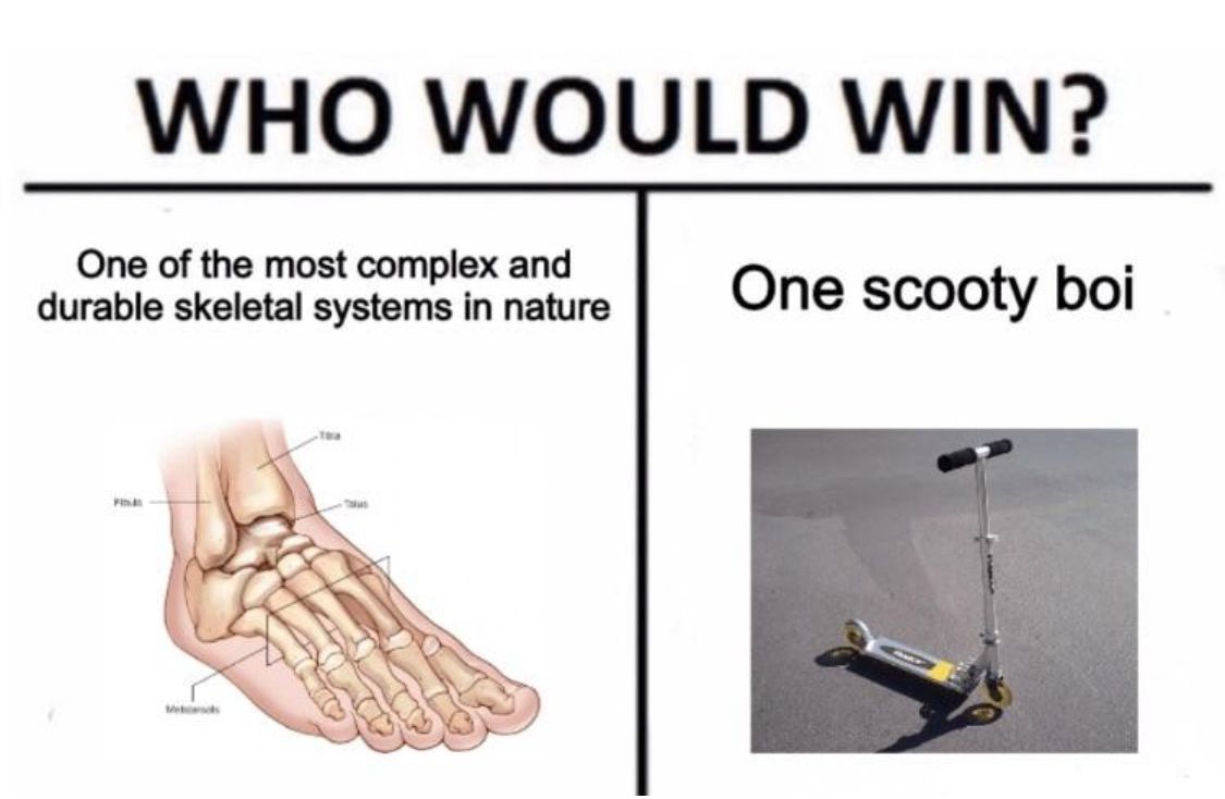 WHO WOULD WIN?
One of the most complex and
durable skeletal systems in nature
FI
Meds
One scooty boi