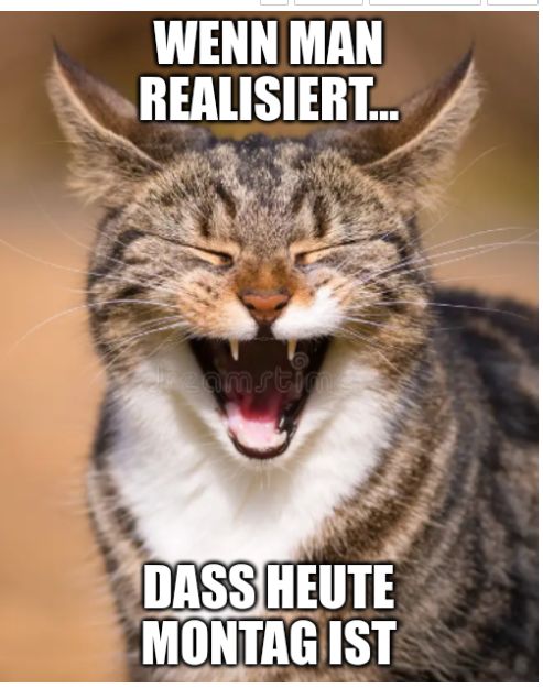 WENN MAN
REALISIERT...
DASS HEUTE
MONTAG IST