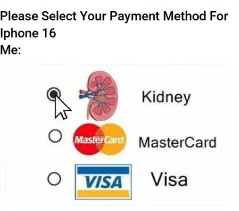 Please Select Your Payment Method For
Iphone 16
Me:
Kidney
MasterCard MasterCard
O VISA Visa