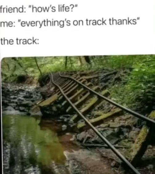 friend: "how's life?"
me: "everything's on track thanks"
the track: