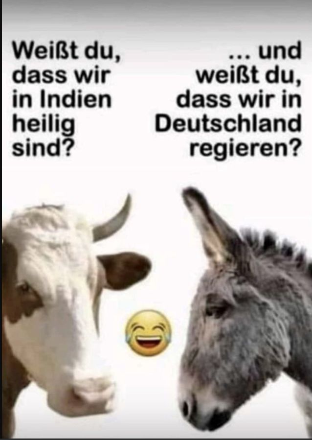 Weißt du,
dass wir
in Indien
heilig
sind?
... und
weißt du,
dass wir in
Deutschland
regieren?