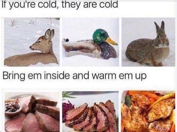 If you're cold, they are cold
Bring em inside and warm em up