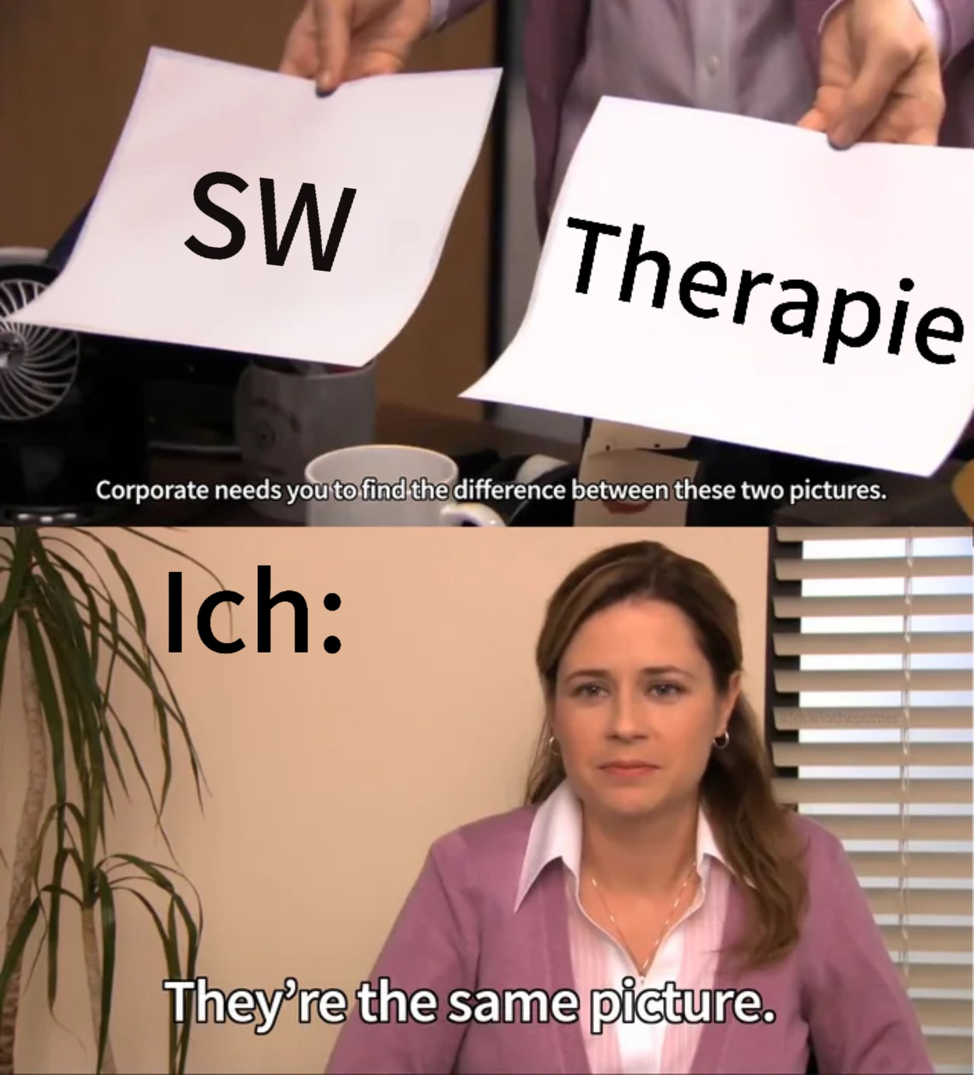 SW
Therapie
Corporate needs you to find the difference between these two pictures.
Ich:
They're the same picture.