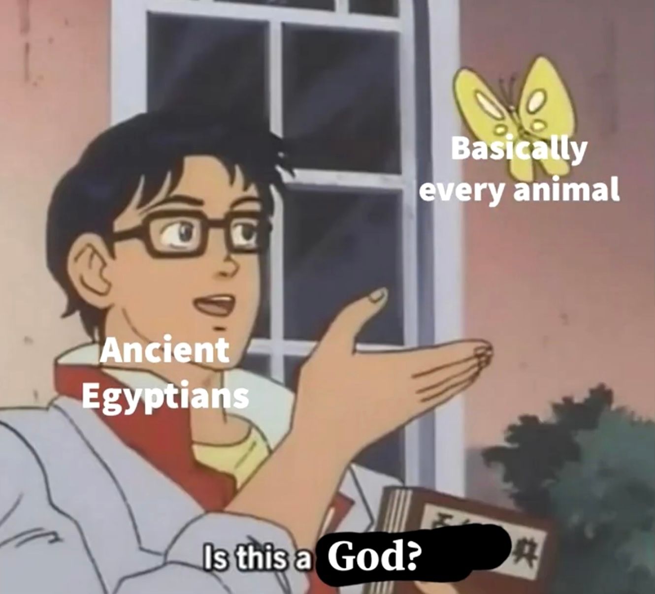 Ancient
Egyptians
Basically
every animal
Is this a God?
典