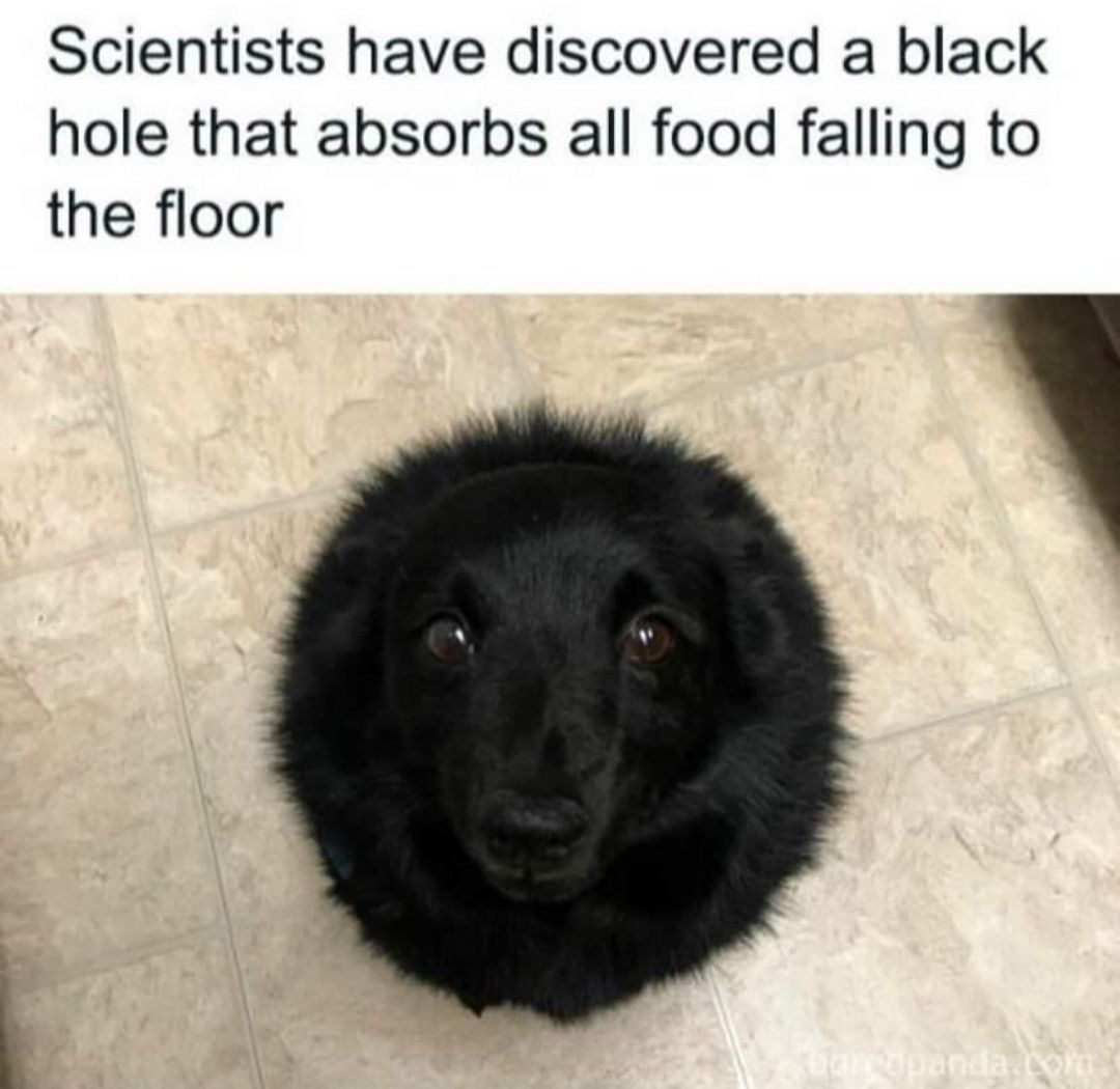 Scientists have discovered a black
hole that absorbs all food falling to
the floor
baredpanda.com