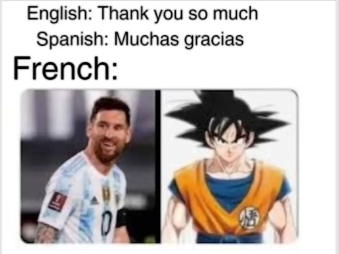 English: Thank you so much
Spanish: Muchas gracias
French: