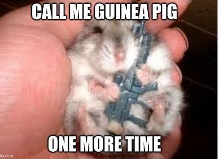 CALL ME GUINEA PIG
ONE MORE TIME
p.com