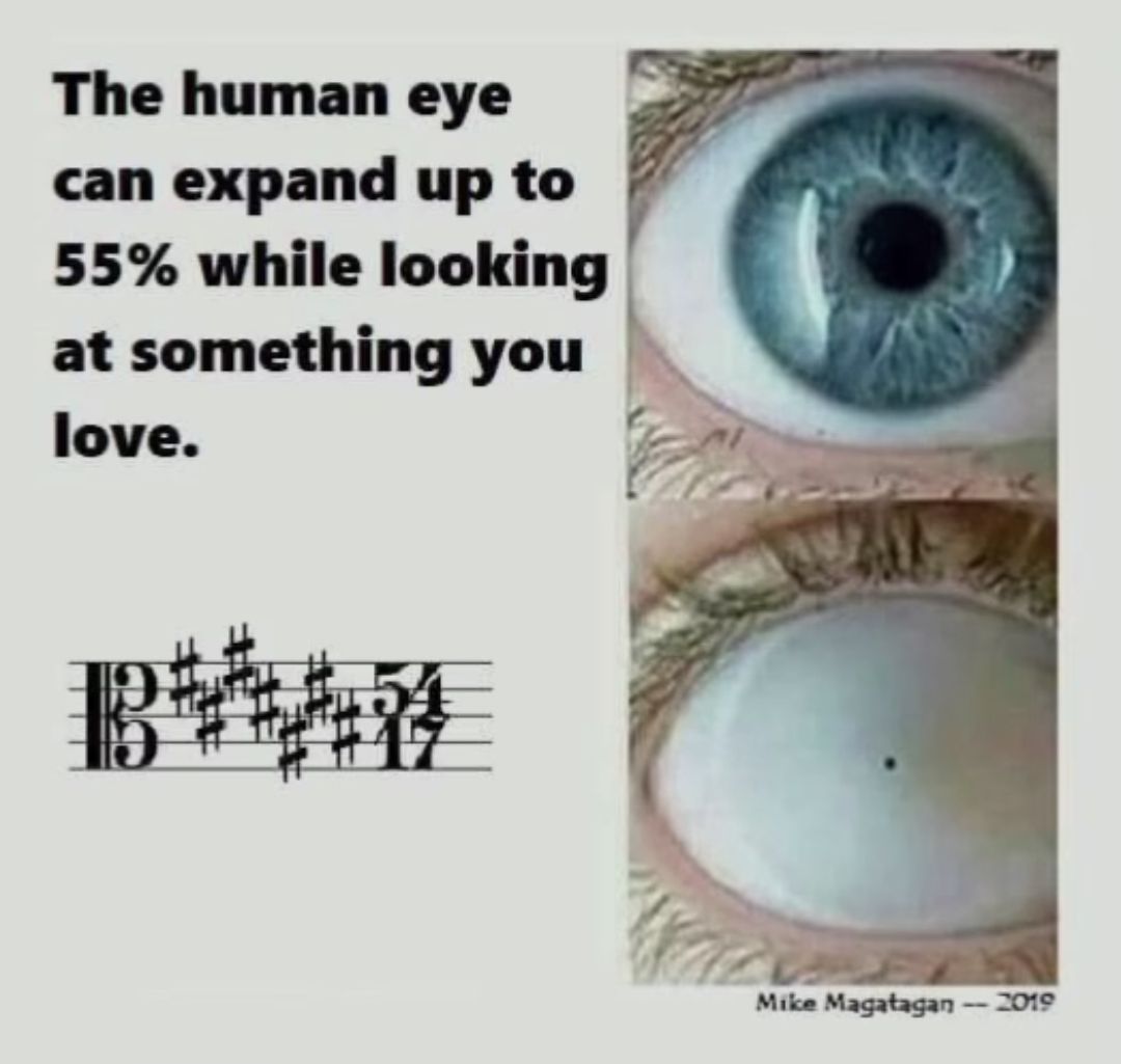 The human eye
can expand up to
55% while looking
at something you
love.
BAN
Mike Magatagan
2019