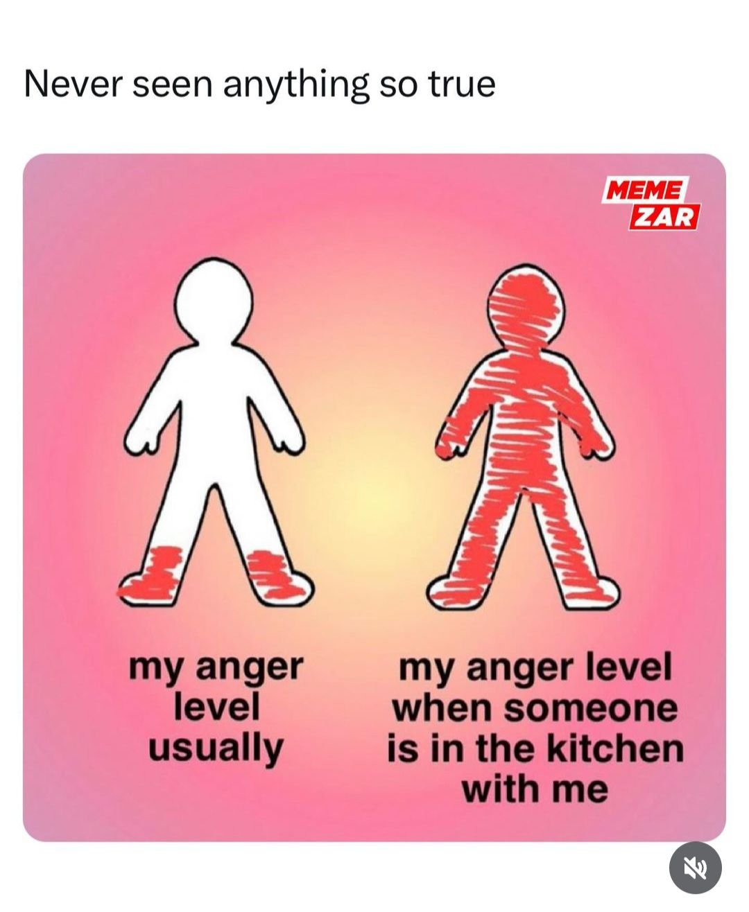 Never seen anything so true.
A A
my anger
level
usually
MEME
ZAR
my anger level
when someone
is in the kitchen
with me