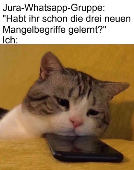 Jura-Whatsapp-Gruppe:
"Habt ihr schon die drei neuen
Mangelbegriffe gelernt?"
Ich: