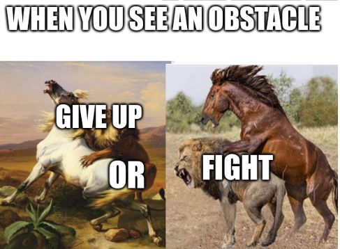 WHEN YOU SEE AN OBSTACLE
GIVE UP
OR
FIGHT