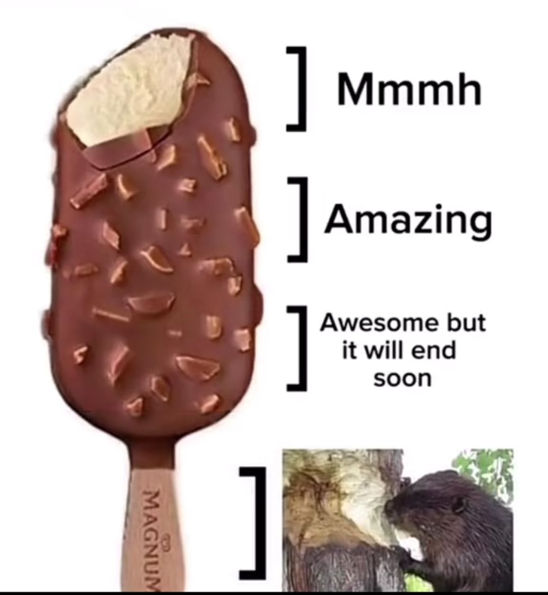 ]
]
Mmmh
] Amazing
]
Awesome but
it will end
soon
MAGNUM