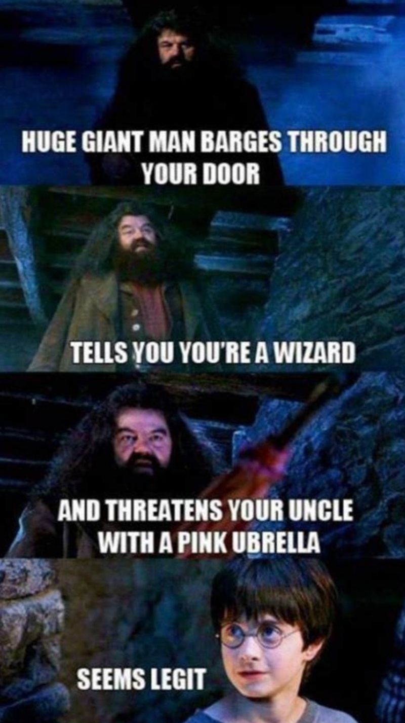 HUGE GIANT MAN BARGES THROUGH
YOUR DOOR
TELLS YOU YOU'RE A WIZARD
AND THREATENS YOUR UNCLE
WITH A PINK UBRELLA
SEEMS LEGIT