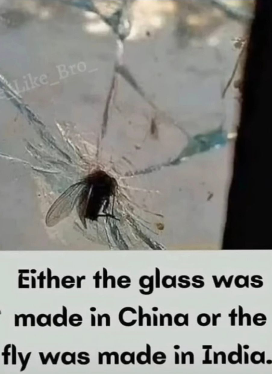 Like Bro
Either the glass was
made in China or the
fly was made in India.