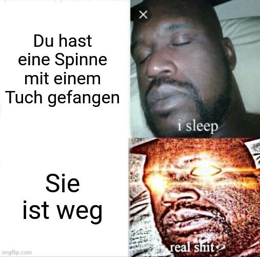 X
Du hast
eine Spinne
mit einem
Tuch gefangen
i sleep
Sie
ist weg
real shit
