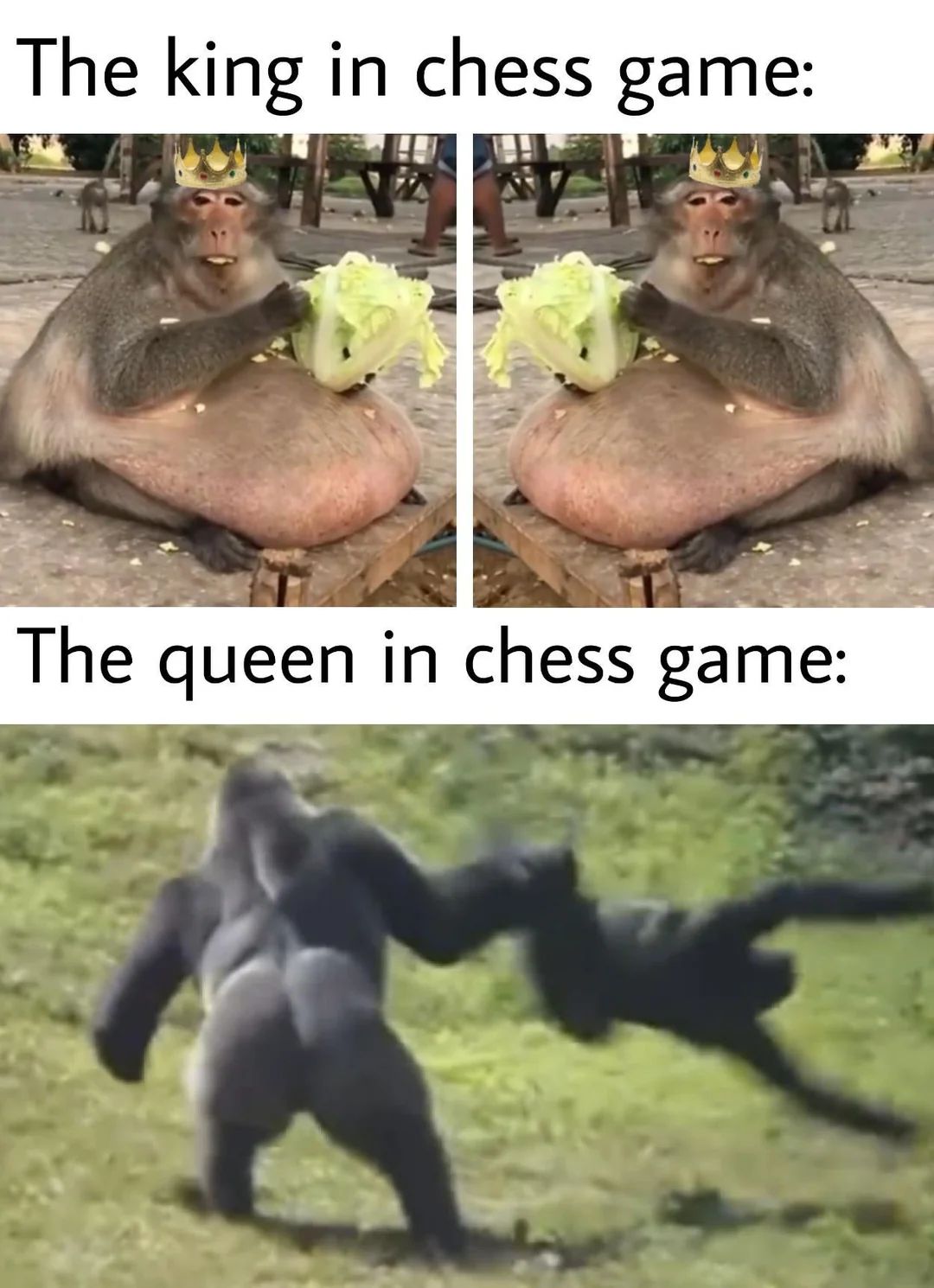 The king in chess game:
The queen in chess game: