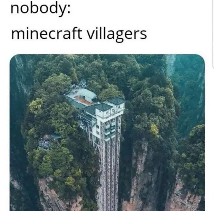 nobody:
minecraft villagers
E